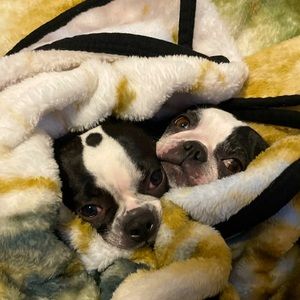 Meet your Posher, Jodi